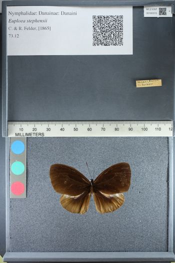 Media type: image;   Entomology 160315
